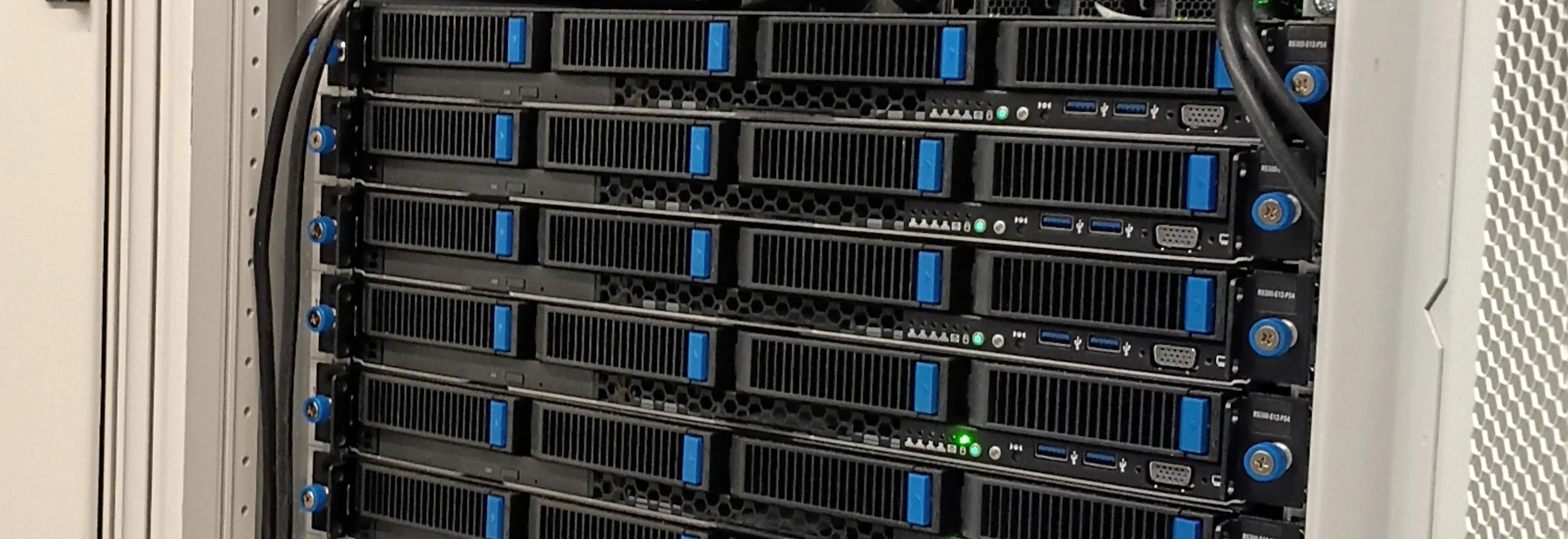 A row of Novogara 1U servers in an Amsterdam rack, drive carriers and green status lights across the front panels.